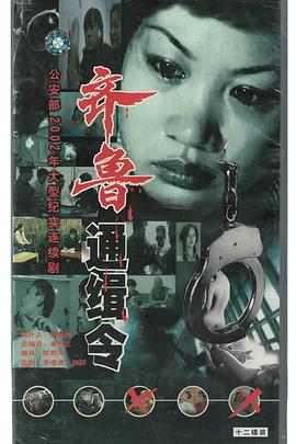 齐鲁通缉令(全集)