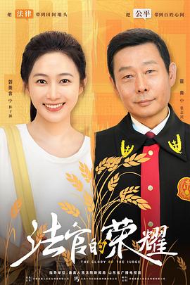 法官的荣耀(全集)